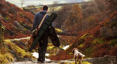 animal-ge96046713_1920